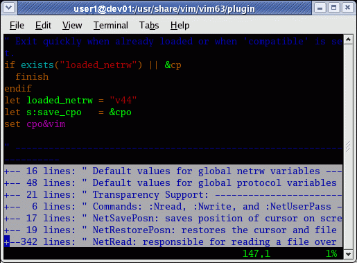 VIM folded lines